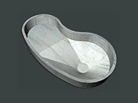 3D rendering of a kidney-shaped concrete pool shell